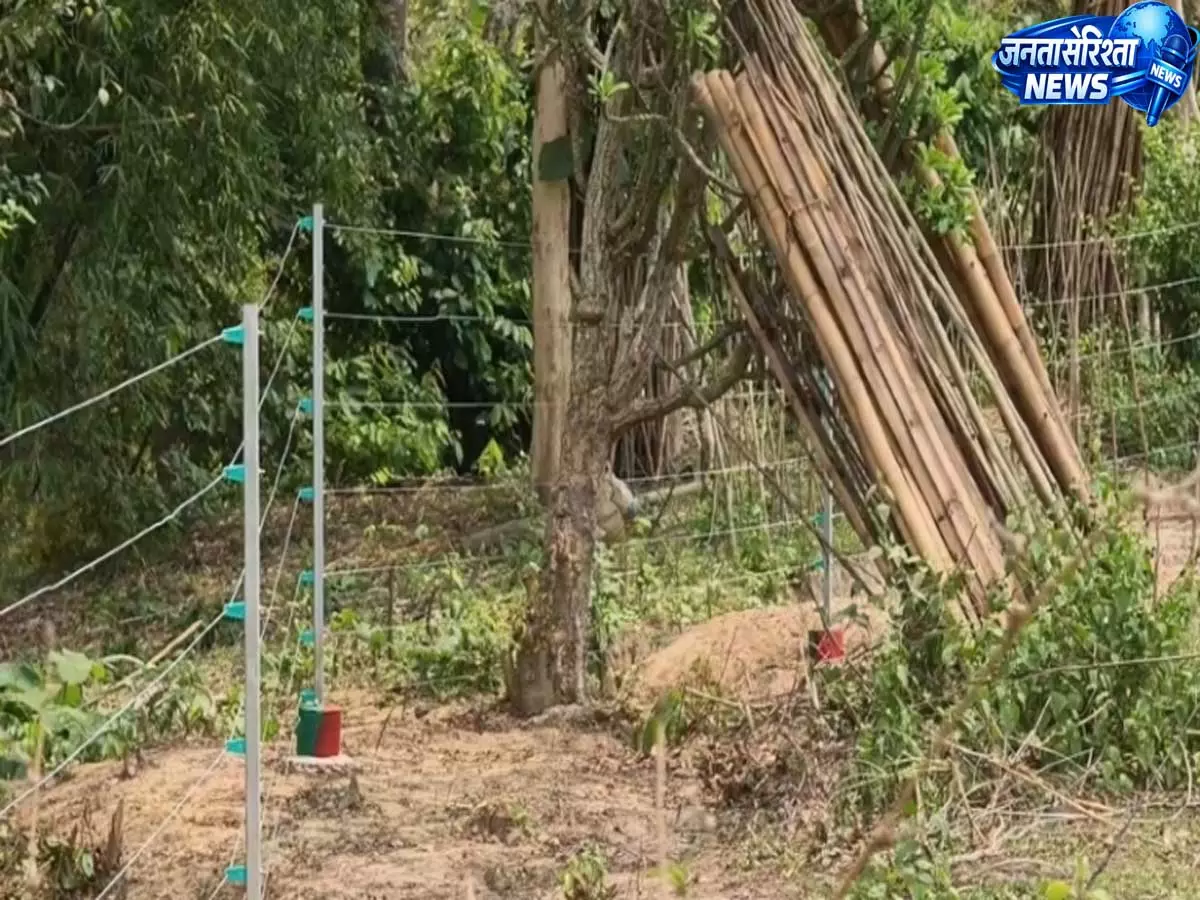 Tripura : हाथियों के टकराव रोकने सोलर फेंसिंग और खाइयां लगाईं Tripura : हाथियों के टकराव रोकने सोलर फेंसिंग और खाइयां लगाईं