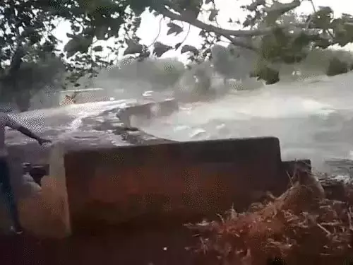 महासमुंद में आकाशीय बिजली गिरी, बेटे की मौत और पिता गंभीर महासमुंद में आकाशीय बिजली गिरी, बेटे की मौत और पिता गंभीर