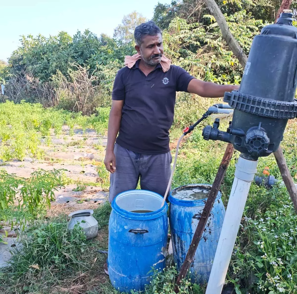 नक्सल मुक्त क्षेत्रों में आधुनिक खेती से कृषक गोपाल एर्रागोला ने रची सफलता की नई इबारत नक्सल मुक्त क्षेत्रों में आधुनिक खेती से कृषक गोपाल एर्रागोला ने रची सफलता की नई इबारत