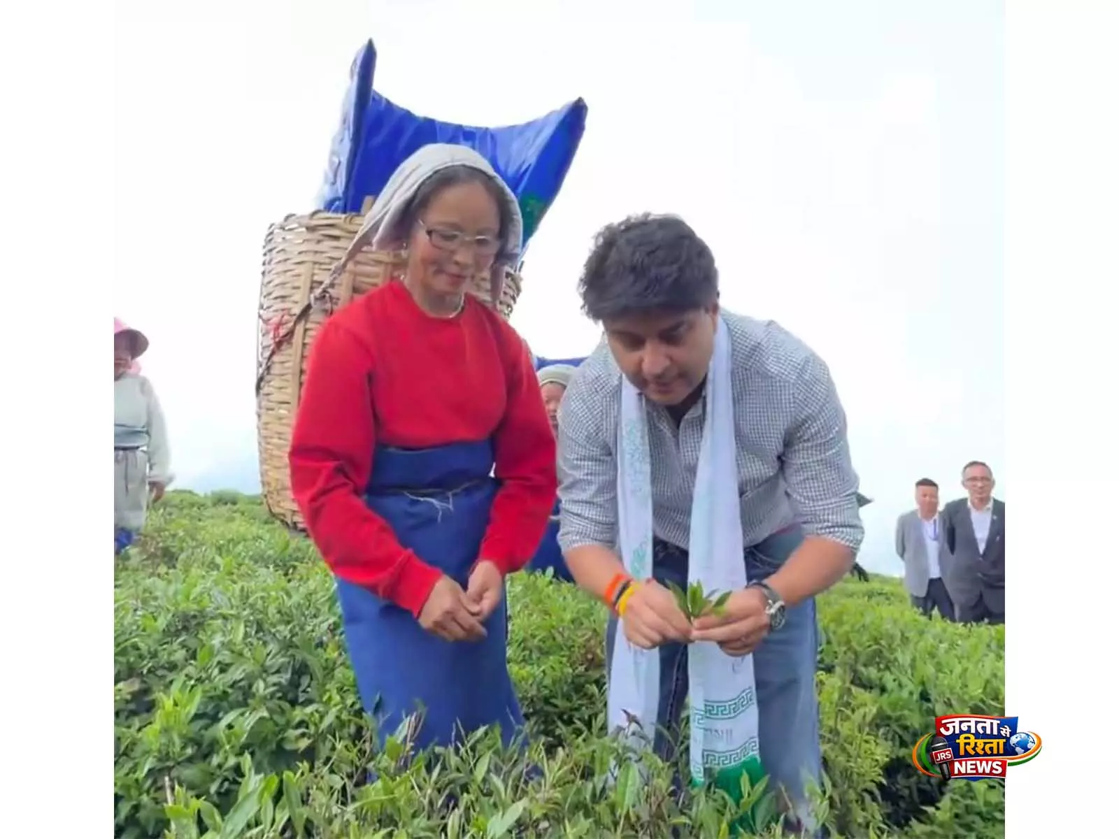 ज्योतिरादित्य सिंधिया ने Sikkim के टेमी टी गार्डन में चाय की पत्तियां तोड़ीं और श्रमिकों से की बातचीत ज्योतिरादित्य सिंधिया ने Sikkim के टेमी टी गार्डन में चाय की पत्तियां तोड़ीं और श्रमिकों से की बातचीत
