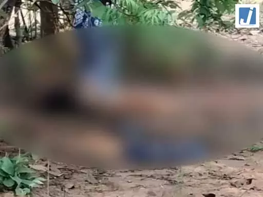 महिला वकील की अर्धनग्न लाश बरामद, चेहरा कुचलकर पहचान मिटाने की कोशिश, मामले में नया अपडेट आया महिला वकील की अर्धनग्न लाश बरामद, चेहरा कुचलकर पहचान मिटाने की कोशिश, मामले में नया अपडेट आया