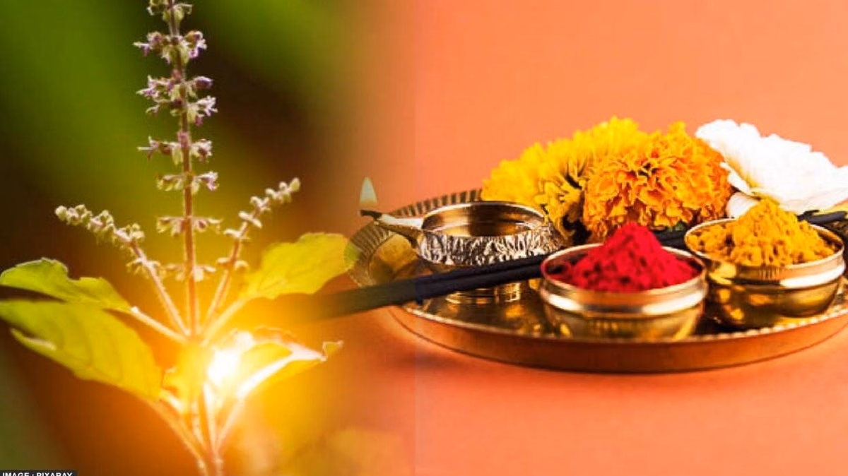 मलमास में तुलसी पूजा के फायदे और उपाय, बढ़ाएँ सुख-समृद्धि