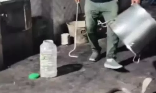 गर्ल्स हॉस्टल में कोबरा सांप घुसने से मचा हड़कंप, Video