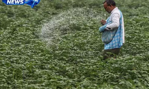 ईंधन की कीमतों में बढ़ोतरी और खाद की कमी से Punjab के धान किसान चिंतित