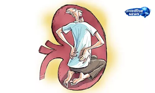 बढ़ती गर्मी से स्वास्थ्य पर असर, UTI और किडनी स्टोन के मामलों में बढ़ोतरी बढ़ती गर्मी से स्वास्थ्य पर असर, UTI और किडनी स्टोन के मामलों में बढ़ोतरी
