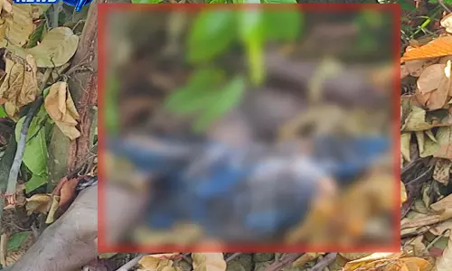 जंगल से मिला ग्रामीण का शव, हाथी हमले की आशंका से फैली दहशत जंगल से मिला ग्रामीण का शव, हाथी हमले की आशंका से फैली दहशत