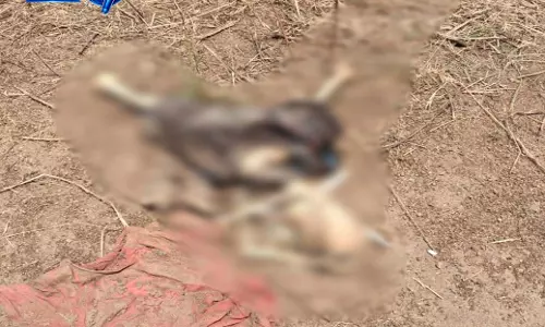 मोंगरा बैराज में मिला टुकड़ों में बंटा कंकाल, इलाके में फैली सनसनी मोंगरा बैराज में मिला टुकड़ों में बंटा कंकाल, इलाके में फैली सनसनी