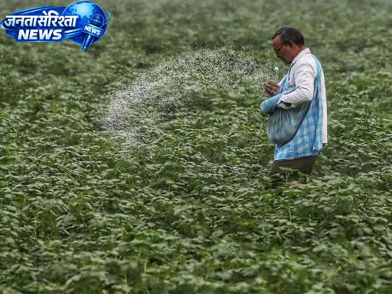 ईंधन की कीमतों में बढ़ोतरी और खाद की कमी से Punjab के धान किसान चिंतित ईंधन की कीमतों में बढ़ोतरी और खाद की कमी से Punjab के धान किसान चिंतित