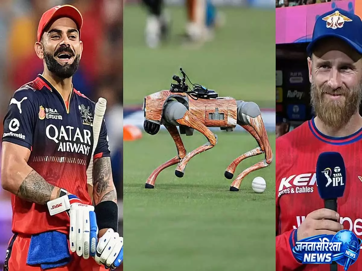 Virat Kohlis का हंसी वाला मोमेंट: IPL में रोबोट डॉग चंपक के साथ केन विलियमसन - VIDEO Virat Kohlis का हंसी वाला मोमेंट: IPL में रोबोट डॉग चंपक के साथ केन विलियमसन - VIDEO
