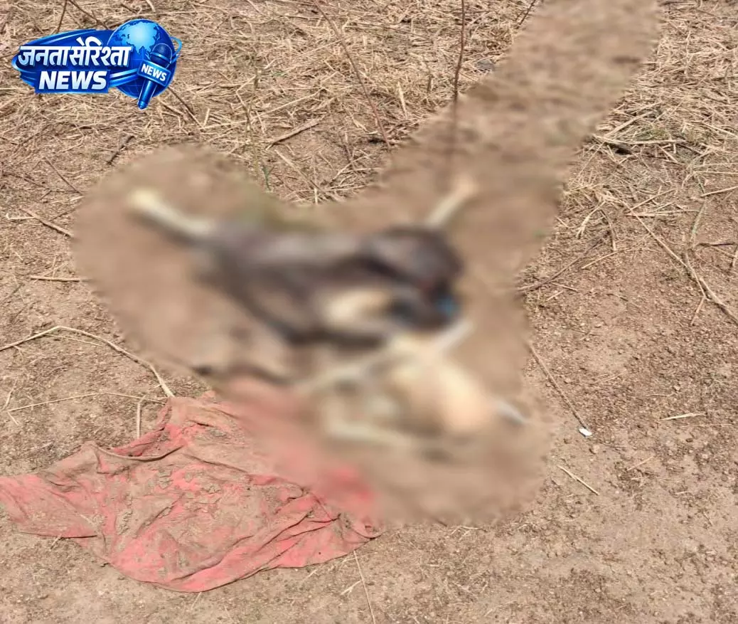 मोंगरा बैराज में मिला टुकड़ों में बंटा कंकाल, इलाके में फैली सनसनी मोंगरा बैराज में मिला टुकड़ों में बंटा कंकाल, इलाके में फैली सनसनी