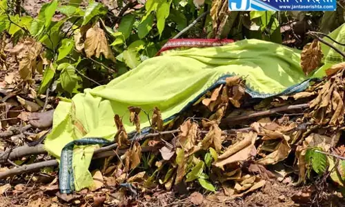 हाथी हमले से रायगढ़ में ग्रामीण की मौत