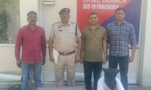 Panchkula MC जीत जश्न में फोन चोरी, जींद का व्यक्ति गिरफ्तार