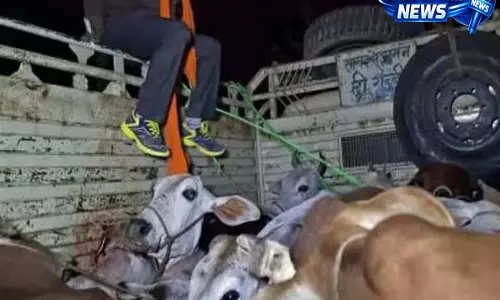Hyderabad: गाय तस्करी के शक में ट्रक रोकने पर हैदराबाद में झड़प, पुलिस जांच में जुटी Hyderabad: गाय तस्करी के शक में ट्रक रोकने पर हैदराबाद में झड़प, पुलिस जांच में जुटी