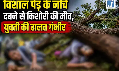 विशाल पेड़ ऑटो रिक्शा पर गिरा...किशोरी की मौत, युवती की हालत गंभीर विशाल पेड़ ऑटो रिक्शा पर गिरा...किशोरी की मौत, युवती की हालत गंभीर