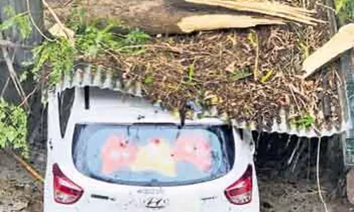 Bhawanipatna नॉरवेस्टर ने वाहनों, सार्वजनिक बुनियादी ढांचे को नुकसान पहुंचाया