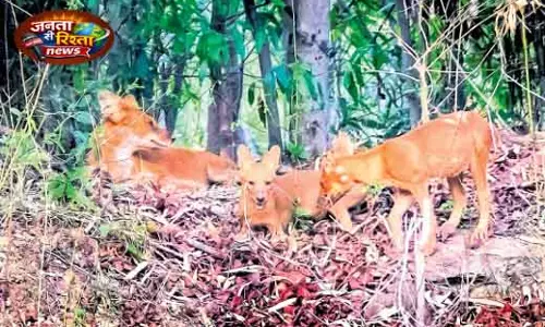Debrigarh में ढोलों को बचाने की पहल Debrigarh में ढोलों को बचाने की पहल