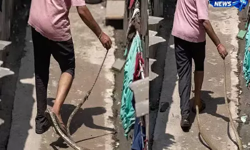 Surat: सांप पकड़ते समय युवक को काटा, वीडियो ने सुरक्षा पर बहस छेड़ दी Surat: सांप पकड़ते समय युवक को काटा, वीडियो ने सुरक्षा पर बहस छेड़ दी