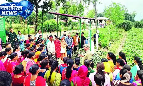 20 मई से सात जून बीच डाले धान का बीज