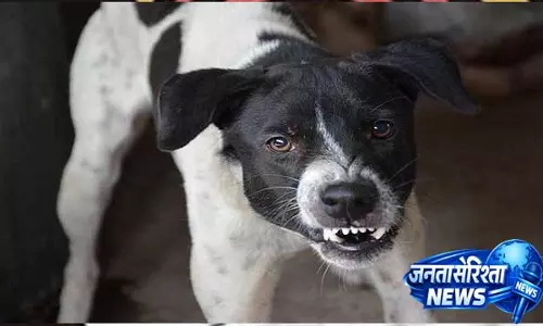 Maharashtra के बीड में 4 साल के बच्चे पर आवारा कुत्ते का हमला कैमरे में कैद