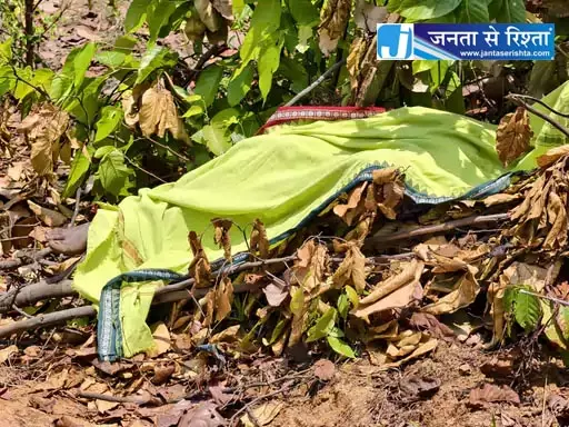 हाथी हमले से रायगढ़ में ग्रामीण की मौत हाथी हमले से रायगढ़ में ग्रामीण की मौत