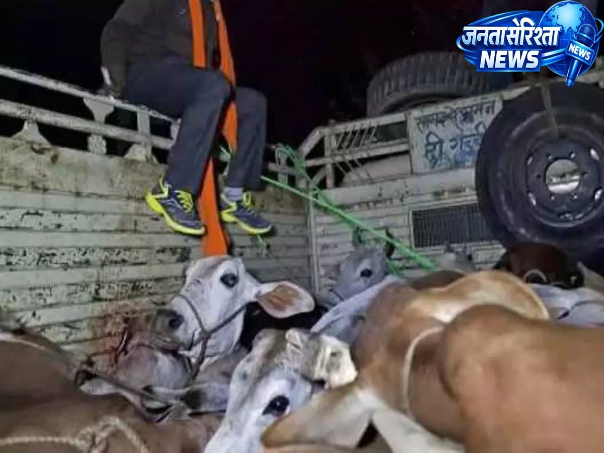 Hyderabad: गाय तस्करी के शक में ट्रक रोकने पर हैदराबाद में झड़प, पुलिस जांच में जुटी Hyderabad: गाय तस्करी के शक में ट्रक रोकने पर हैदराबाद में झड़प, पुलिस जांच में जुटी