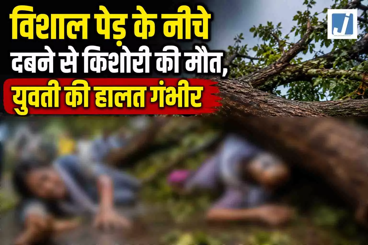 विशाल पेड़ ऑटो रिक्शा पर गिरा...किशोरी की मौत, युवती की हालत गंभीर विशाल पेड़ ऑटो रिक्शा पर गिरा...किशोरी की मौत, युवती की हालत गंभीर