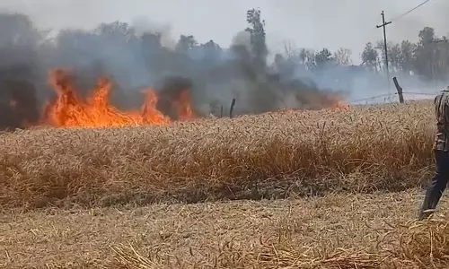 खाड़ी ने आग नहीं लगाई खाड़ी ने आग नहीं लगाई
