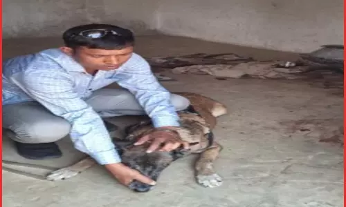 हत्या कर दुकान पहुंचा आरोपी, स्निफर डॉग की मदद से मर्डर का खुलासा हत्या कर दुकान पहुंचा आरोपी, स्निफर डॉग की मदद से मर्डर का खुलासा