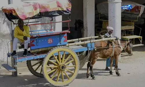 जम्मू के RS पुरा सेक्टर में पारंपरिक तांगों की वापसी, ईंधन बचत अभियान से बढ़ा उपयोग जम्मू के RS पुरा सेक्टर में पारंपरिक तांगों की वापसी, ईंधन बचत अभियान से बढ़ा उपयोग