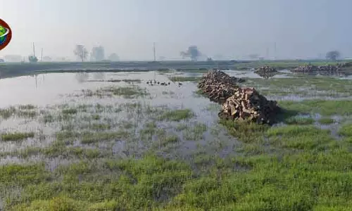 Haryana में पानी की दोहरी चुनौती, एनजीटी ने लिया संज्ञान Haryana में पानी की दोहरी चुनौती, एनजीटी ने लिया संज्ञान