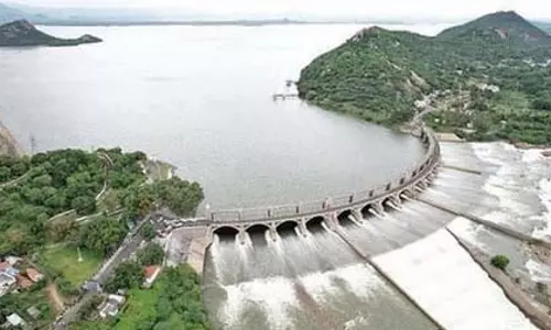 कुरुवाई खेती पर संकट, मेट्टूर डैम में जलस्तर गिरने से कावेरी डेल्टा में किसानों की चिंताएं बढ़ीं कुरुवाई खेती पर संकट, मेट्टूर डैम में जलस्तर गिरने से कावेरी डेल्टा में किसानों की चिंताएं बढ़ीं
