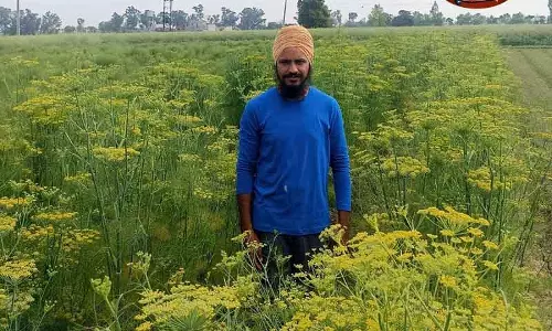 Amritsar बीटेक ग्रेजुएट को ऑर्गेनिक खेती में सकून और मकसद मिला Amritsar बीटेक ग्रेजुएट को ऑर्गेनिक खेती में सकून और मकसद मिला