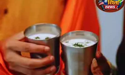 Chennai में मोर पंडाल, बढ़ती गर्मी में राहत का साधन