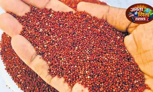 Nandapur श्री अन्न अभियान के लिए फंडिंग में कटौती से चिंता बढ़ी
