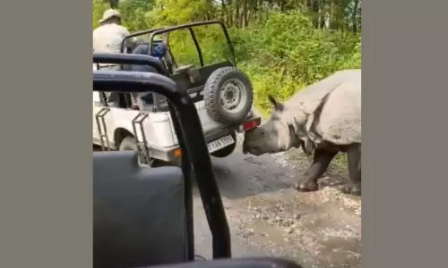 मानस नेशनल पार्क में गैंडे का सफारी वाहन पर हमला, पर्यटकों में दहशत; 25 जून से पार्क बंद रहेगा