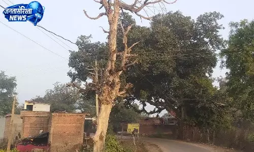 प्रदेश के शहरी इलाकों में वन विभाग चलाएगा विशेष अभियान