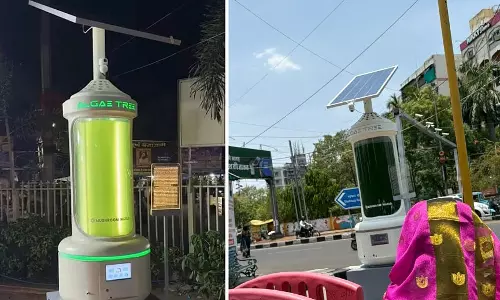 Bhopal : प्रदूषण नियंत्रण के लिए ‘एल्गी ट्रीज़’ की शुरुआत, कई स्थानों पर लगाए जा रहे नए यूनिट्स Bhopal : प्रदूषण नियंत्रण के लिए ‘एल्गी ट्रीज़’ की शुरुआत, कई स्थानों पर लगाए जा रहे नए यूनिट्स