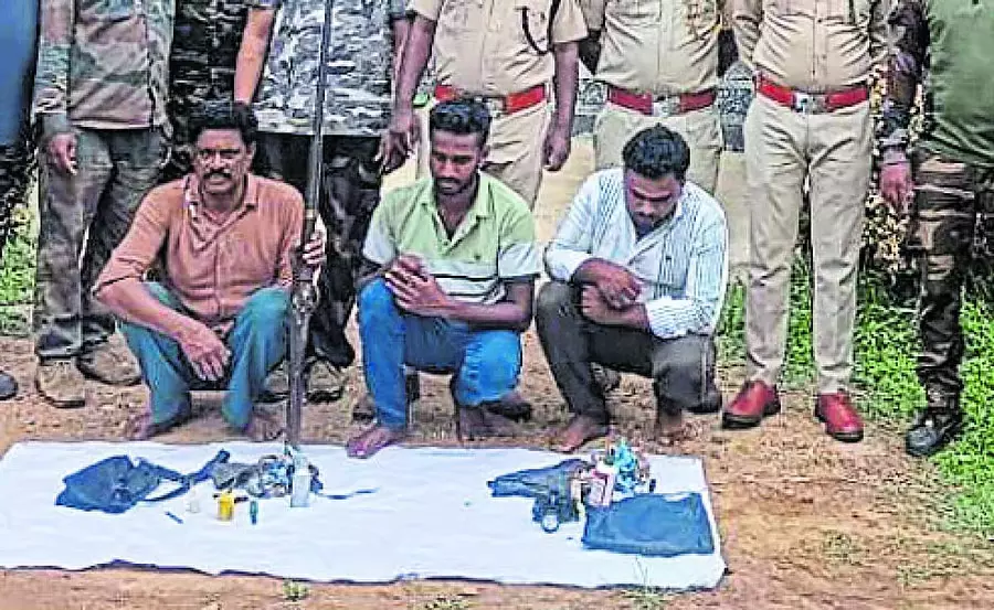 Karnataka : जंगल विभाग की बड़ी कार्रवाई, शिकार की साजिश रच रहे तीन गिरफ्तार, एक फरार Karnataka : जंगल विभाग की बड़ी कार्रवाई, शिकार की साजिश रच रहे तीन गिरफ्तार, एक फरार