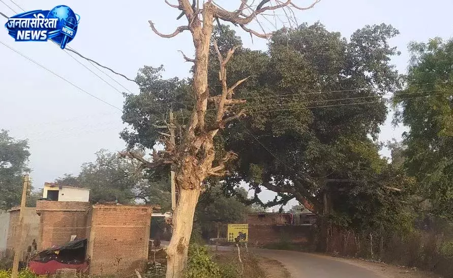 प्रदेश के शहरी इलाकों में वन विभाग चलाएगा विशेष अभियान प्रदेश के शहरी इलाकों में वन विभाग चलाएगा विशेष अभियान