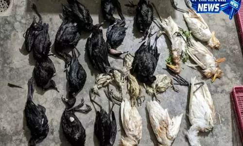 North Lakhimpur: मृत पक्षियों को ले जाने के मामले में दो गिरफ्तार