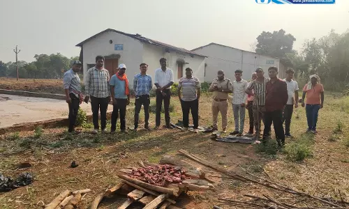 जंगली सूअर के मांस की बिक्री सूचना पर वन विभाग की रेड, ग्रामीण पकड़ा गया जंगली सूअर के मांस की बिक्री सूचना पर वन विभाग की रेड, ग्रामीण पकड़ा गया