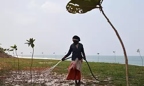 Tamil Nadu : जून में 50,000 पौधे लगाने की योजना