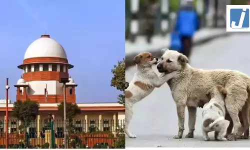सर्वोच्च न्यायालय से डॉग लवर्स को झटका