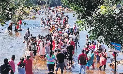 दुबारे और सक्रेबेल हाथी कैंप बंद, मंत्री ईश्वर खंड्रे ने SOP लागू होने तक सभी गतिविधियां रोकीं दुबारे और सक्रेबेल हाथी कैंप बंद, मंत्री ईश्वर खंड्रे ने SOP लागू होने तक सभी गतिविधियां रोकीं
