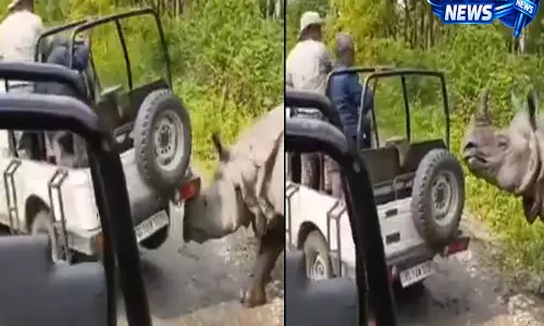 Manas National Park, Assam: गैंडा आक्रामक हुआ, पर्यटकों से भरी जीप को उठाने का प्रयास – वायरल वीडियो Manas National Park, Assam: गैंडा आक्रामक हुआ, पर्यटकों से भरी जीप को उठाने का प्रयास – वायरल वीडियो