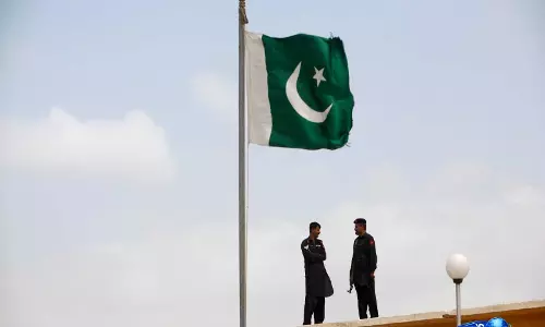 Lahore में आवारा कुत्तों की कथित हत्या पर विवाद, एनिमल राइट्स ग्रुप्स ने लगाए आरोप