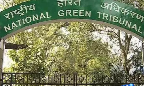 NGT ने आग के मौसम में जनगणना ड्यूटी के लिए वन कर्मचारियों की प्रतिनियुक्ति पर उत्तराखंड PCCF से जवाब मांगा NGT ने आग के मौसम में जनगणना ड्यूटी के लिए वन कर्मचारियों की प्रतिनियुक्ति पर उत्तराखंड PCCF से जवाब मांगा