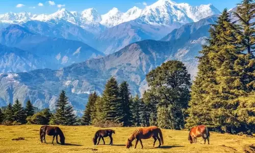 Dehradun: उत्तराखंड में मौसम गर्म, पारा 40 डिग्री के पार पहुंचने की संभावना Dehradun: उत्तराखंड में मौसम गर्म, पारा 40 डिग्री के पार पहुंचने की संभावना