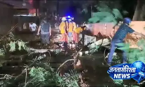 Kalbaisakhi तूफान ने बालासोर में तबाही मचाई, पेड़ उखड़ गए और बिजली सप्लाई प्रभावित हुई
