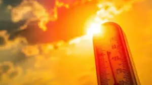 Jaipur: राजस्थान में भीषण गर्मी का कहर, नौ शहरों में पारा 45 के पार Jaipur: राजस्थान में भीषण गर्मी का कहर, नौ शहरों में पारा 45 के पार